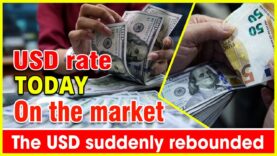USD exchange rate today The USD suddenly rebounded