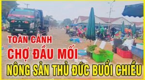 Chợ Đầu Mối Nông Sản Thủ Đức Hôm Nay Có Gì Mới?