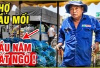 Thực tế chợ đầu mối hóc môn những ngày đầu năm Thực tế chợ đầu mối hóc môn những ngày đầu năm