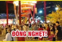 Sài gòn vui tết 2026 phố ông đồ đông kín người Sài gòn vui tết 2026 phố ông đồ đông kín người