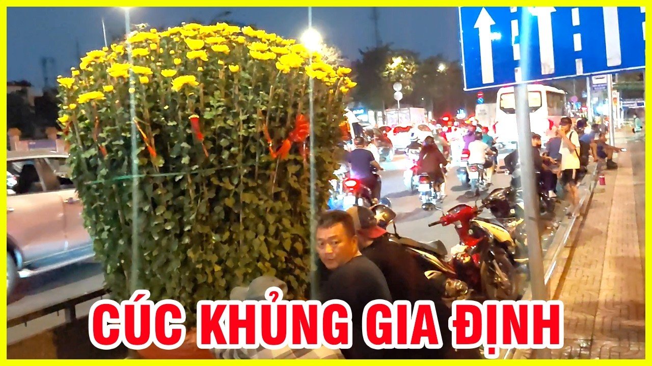 Hoa cúc khủng ở công viên gia định ngày đầu tết 1 Maxresdefault 32