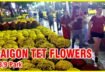 Chợ hoa tết công viên 23/9 ban đêm saigon