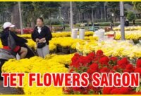 Hoa tết công viên gia định sai gon