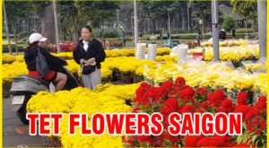 Hoa tết công viên gia định sai gon