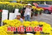Chợ hoa tết sài gòn công viên hoàng văn thụ