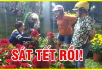 Đi dạo chợ hoa tết lê văn tám ban đêm