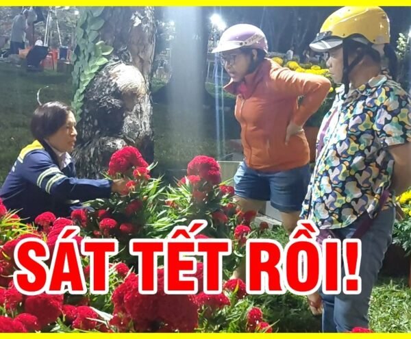 Đi dạo chợ hoa tết lê văn tám ban đêm