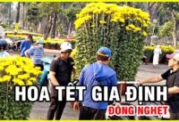 Hoa tết ở công viên gia định sài gòn ngày cuối năm