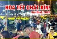 Đêm hoa tết gia định 2026 chật kín lối đi, xe cộ đông nghẹt