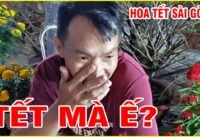 Tết mà hoa vẫn ế thực tế ở sài gòn 2026