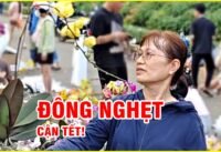 Chợ hoa tết gia định cận tết đông nghẹt