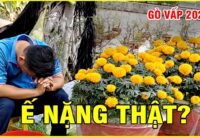 Hoa tết gò vấp 2026 có thực sự ế nặng?