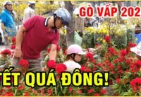 Tết quá đông ở gò vấp! Cảnh thực tế khiến ai cũng bất ngờ Tết quá đông ở gò vấp! Cảnh thực tế khiến ai cũng bất ngờ